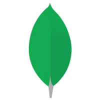 CSS Icon